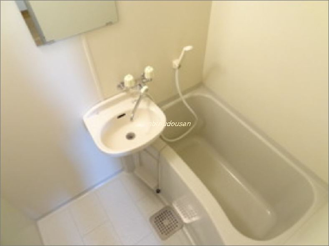 拡大してご覧になれます