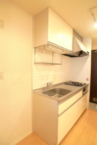 拡大してご覧になれます