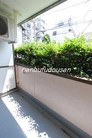 拡大してご覧になれます