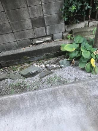 拡大してご覧になれます