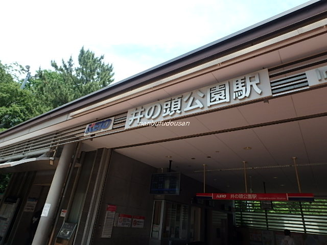 拡大してご覧になれます