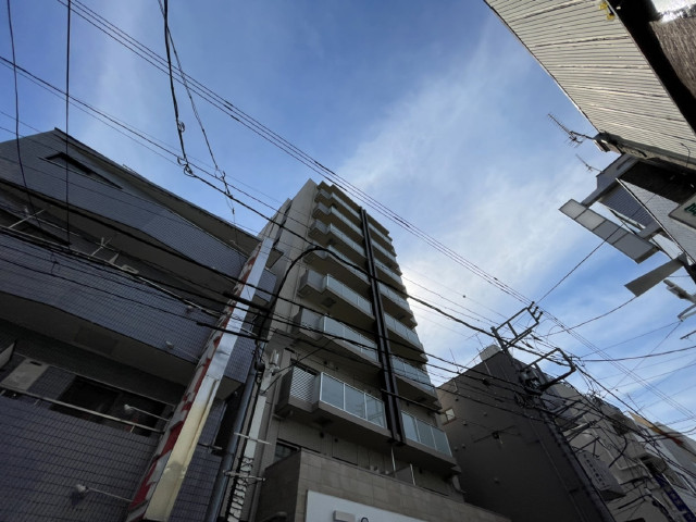 拡大してご覧になれます