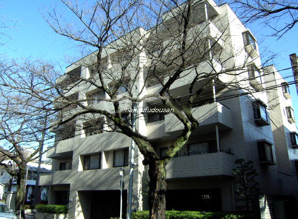 吉祥寺駅 バス10分構造:鉄筋コンクリート造