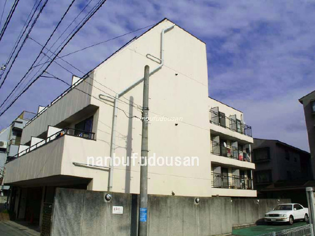 拡大してご覧になれます