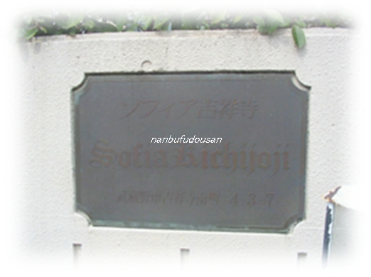 拡大してご覧になれます