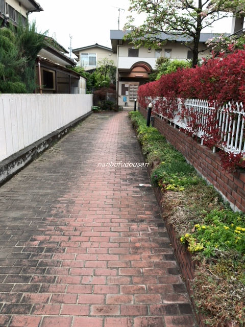 拡大してご覧になれます